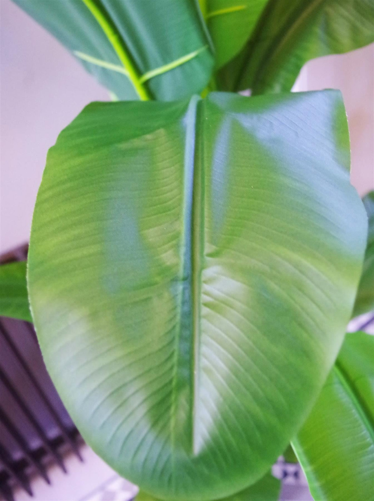 180cm Artificial Banana Tree Tropical Plant Silver Metal Planter - Premium Quality